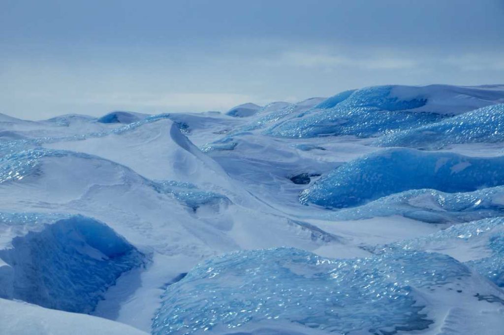 In der Arktis