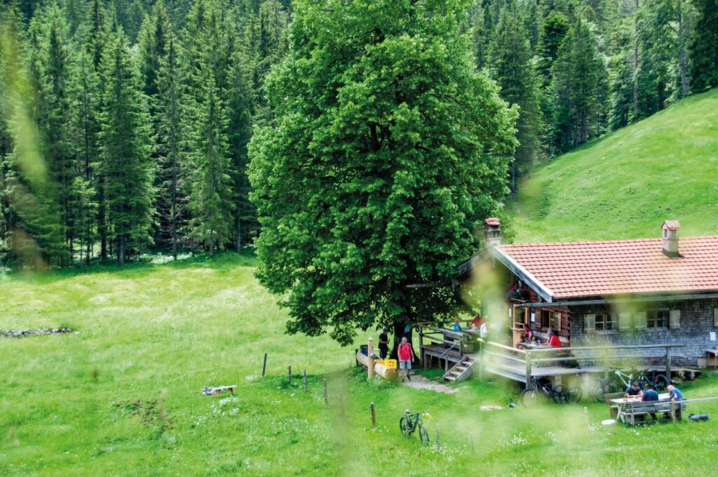 Musi auf der Alm - Bayralm