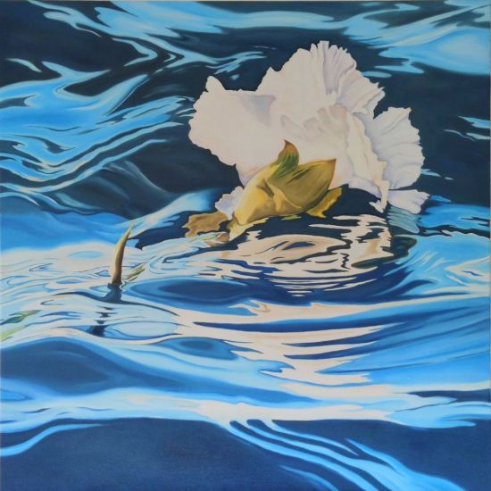 Heinz-Stoewer-white-carnation