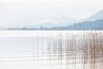 Chris Tille: Tegernsee Fotografie in magischen Momenten - Stile im Nebel