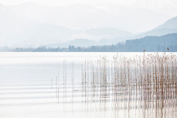 Chris Tille: Tegernsee Fotografie in magischen Momenten - Stile im Nebel