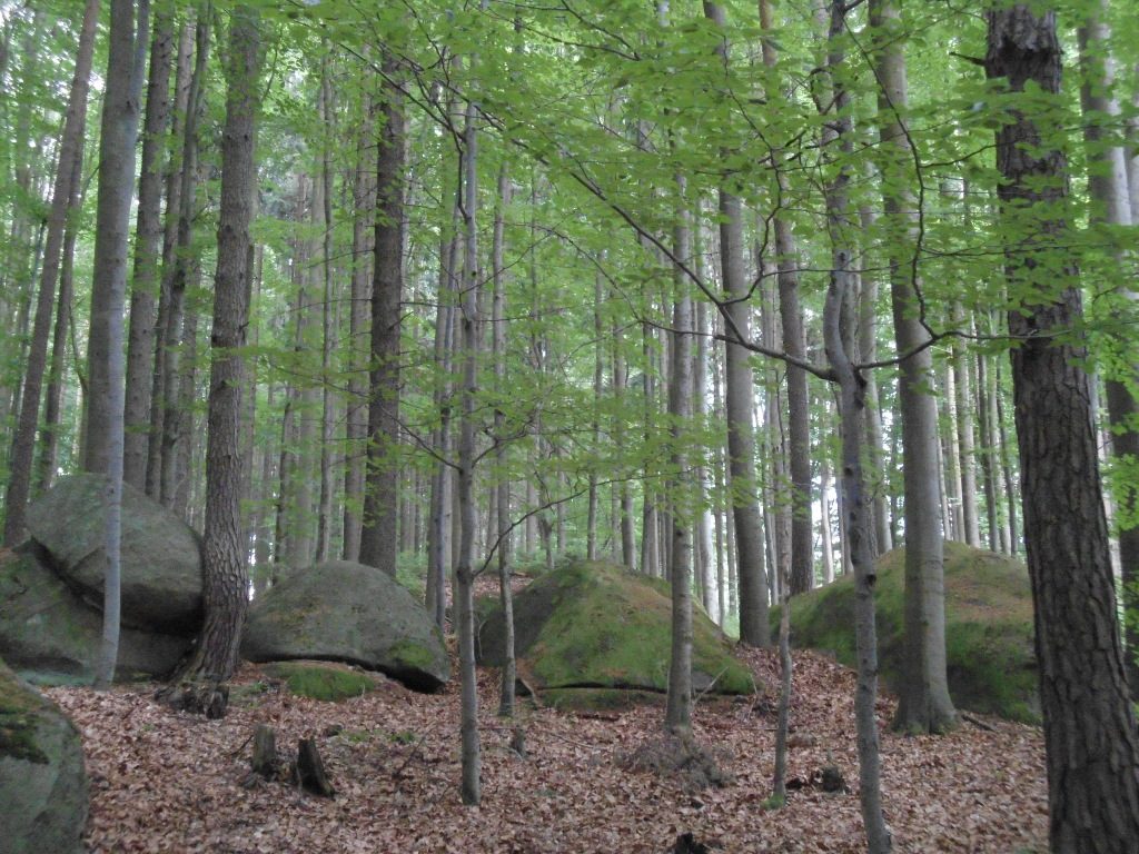 Walden