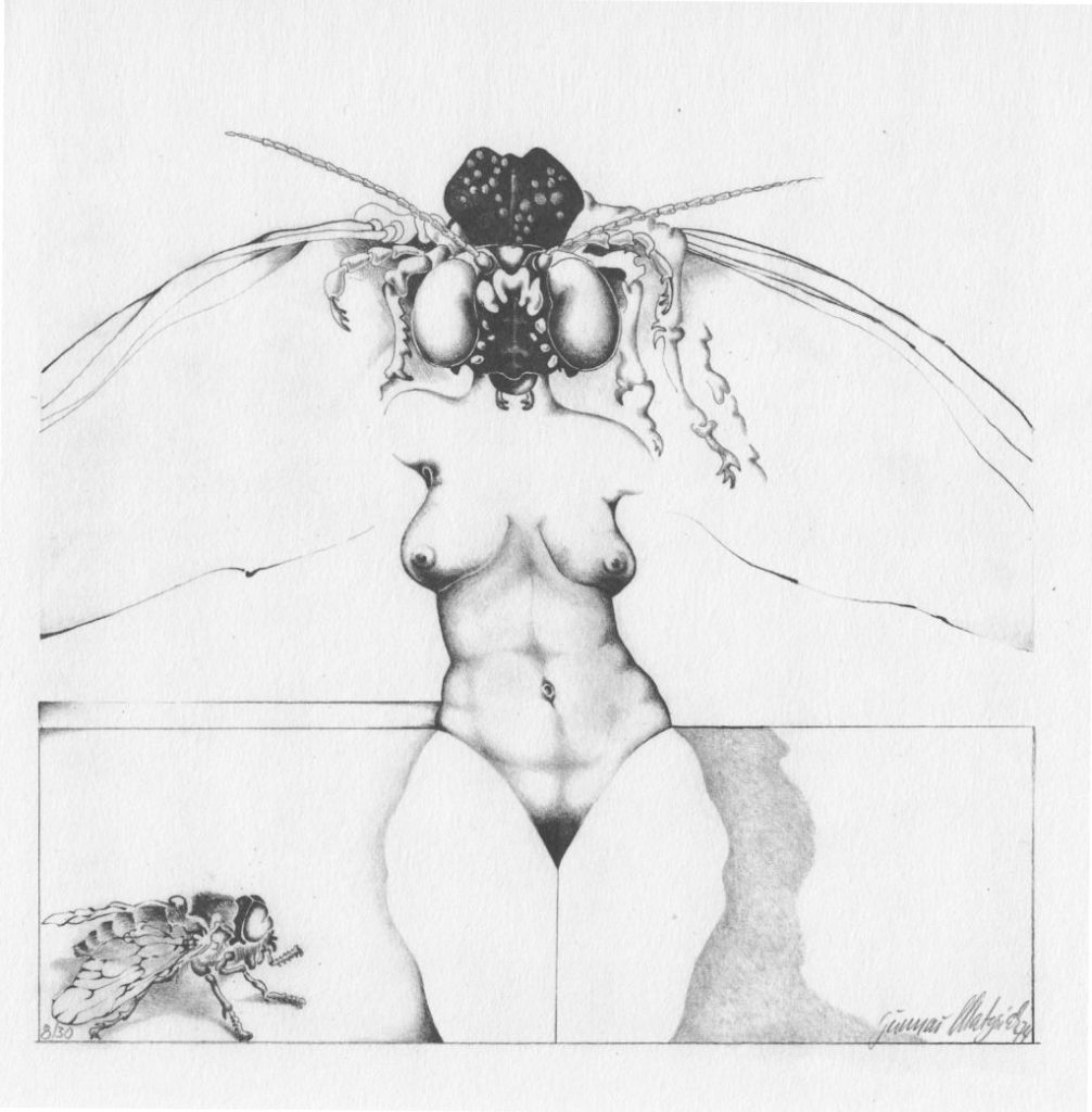 Gunnar Matysiak: The Fly.