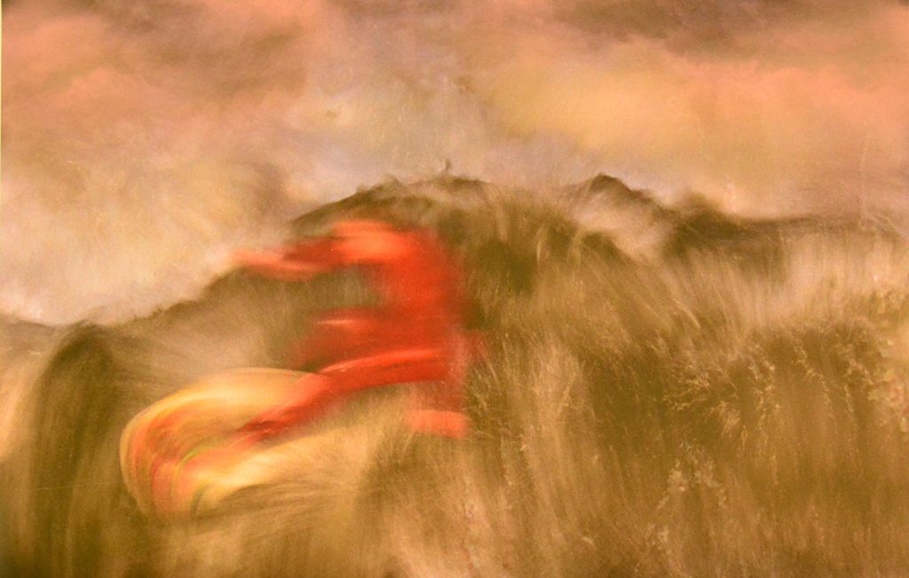 Michael Fackelmann: Die Welle.