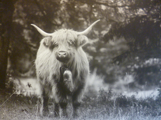 Fotographie von Thomas Plettenberg. 