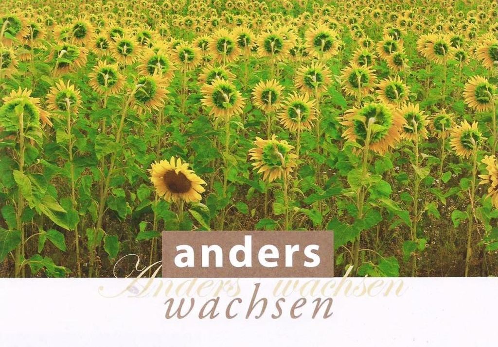 Die Broschüre "Anders Wachsen" entstand anläßlich der Konferenz "Anders Wachsen - Alternativen für das Oberland" in der Schreibwerkstatt im April 2016.