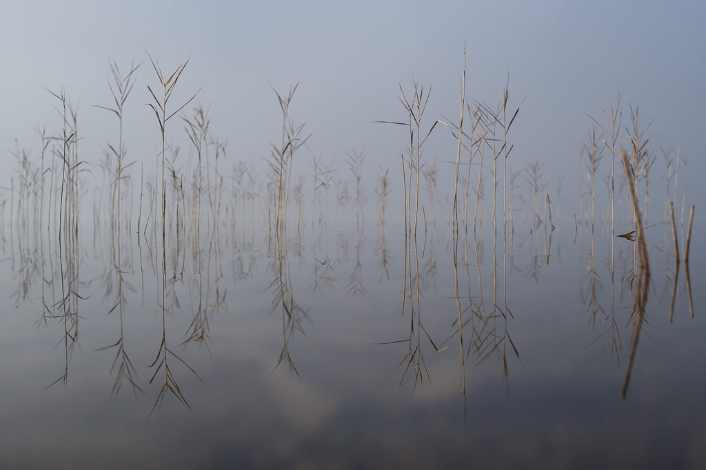 jensfranke-schliersee-2016