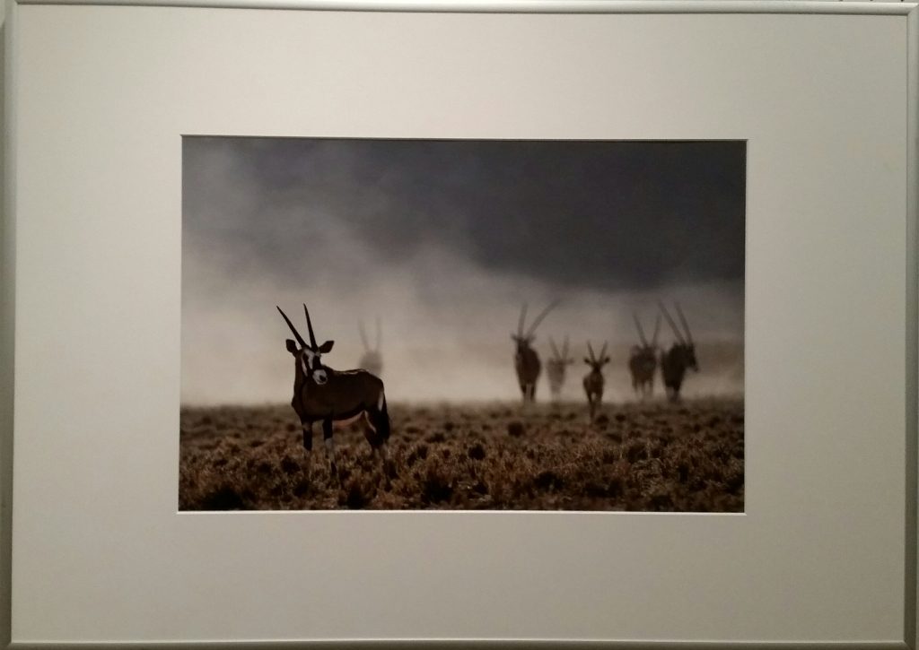 Fotofreunde Parsberg: Lambert Heil: Afrika I. 