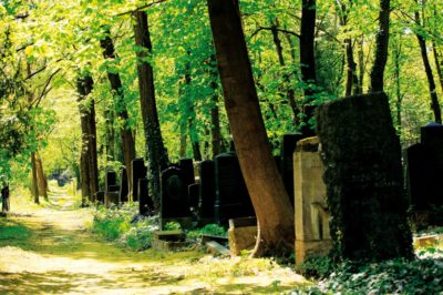 Der Jüdische Friedhof in Berlin (Filmausschnitt)- Film "Im Himmel unter der Erde" zum Chorwochenende in Miesbach