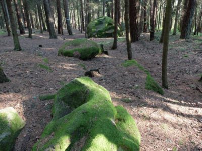 Das mystische Waldviertel - in dem die Romane von Thomas Sautner handeln