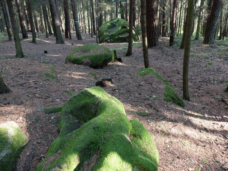 Das mystische Waldviertel - in dem die Romane von Thomas Sautner handeln