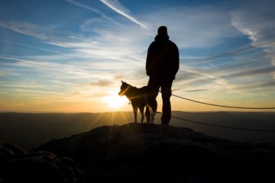 Jens Franke: 100 Tage heimat - unterwegs mit Husky Aiko