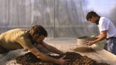 Wild Plants - Jardins de Cocagne in Genf, Foto: CloseUpFilms