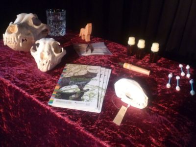 Fräulein Brehms Tierleben