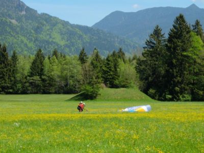 Butterweiche Landung auf der Wiese