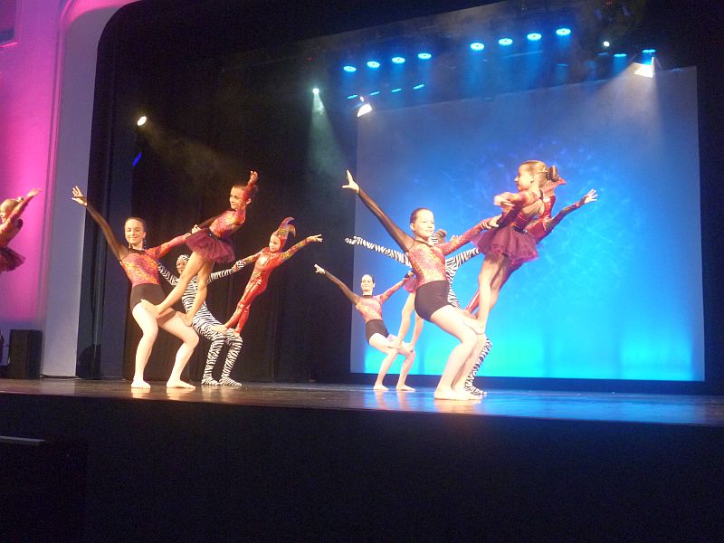 Cirque du Ballet