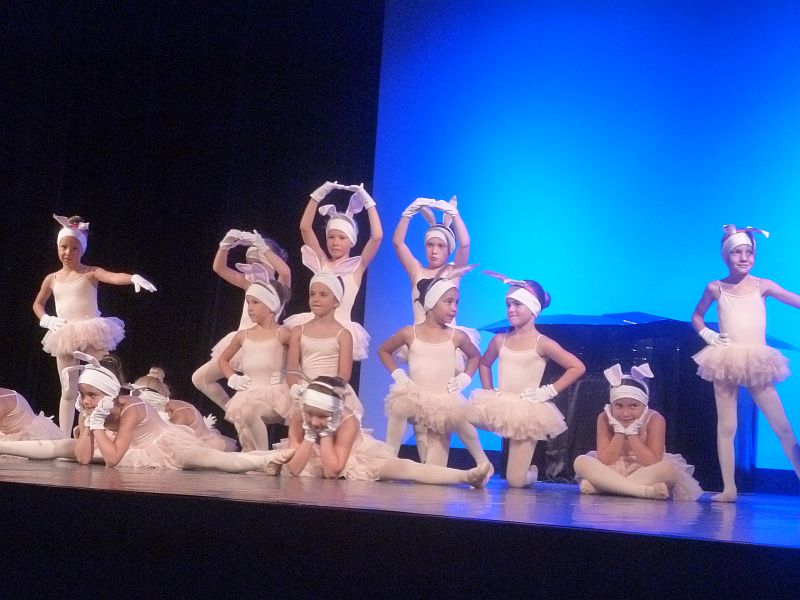 Cirque du Ballet