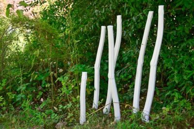 Springkraut von Franz Tišek. Foto: Petra Kurbjuhn