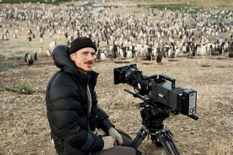 Der Kameramann Rolf Steinmann beim Dreh mit Pinguinen