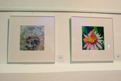 5. Valleyer Kulturtage