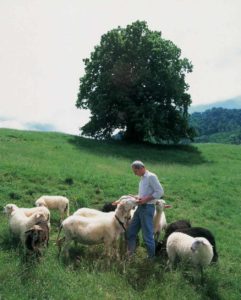 Andreas Kuhnlein