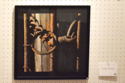 Fotofreunde Parsberg