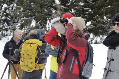 Schneeschuhtour im Nationalpark Hohe Tauern