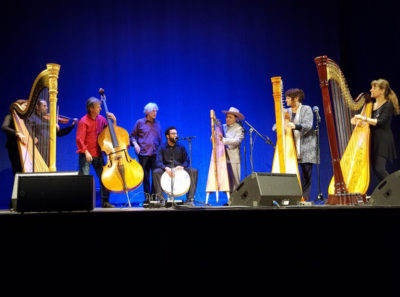 Teilnehmer beim Harfenfestival in Miesbach