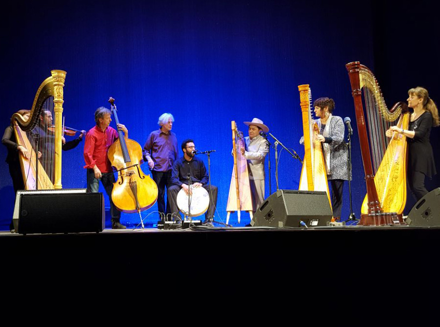 Teilnehmer beim Harfenfestival in Miesbach