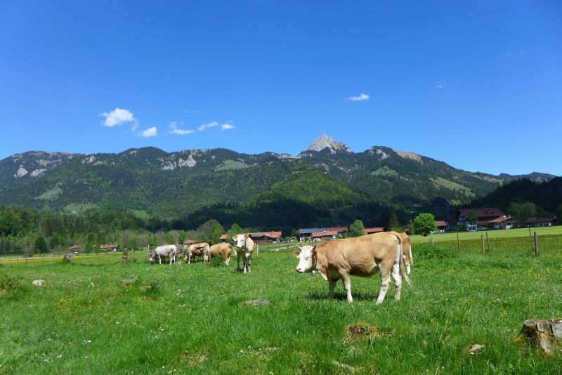 Bäuerliche Landwirtschaft