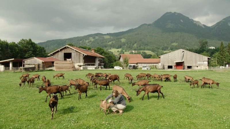 Solidarische Landwirtschaft im Leitzachtal: Bauernhof Haase, Sandbichl, Fischbachau