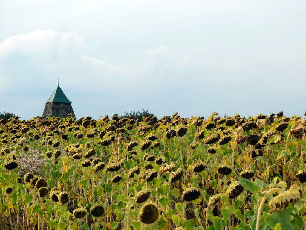 Erholung in Landschaften, die dem Idealbild von Arkadien ähneln: Waldviertel Niederösterreich