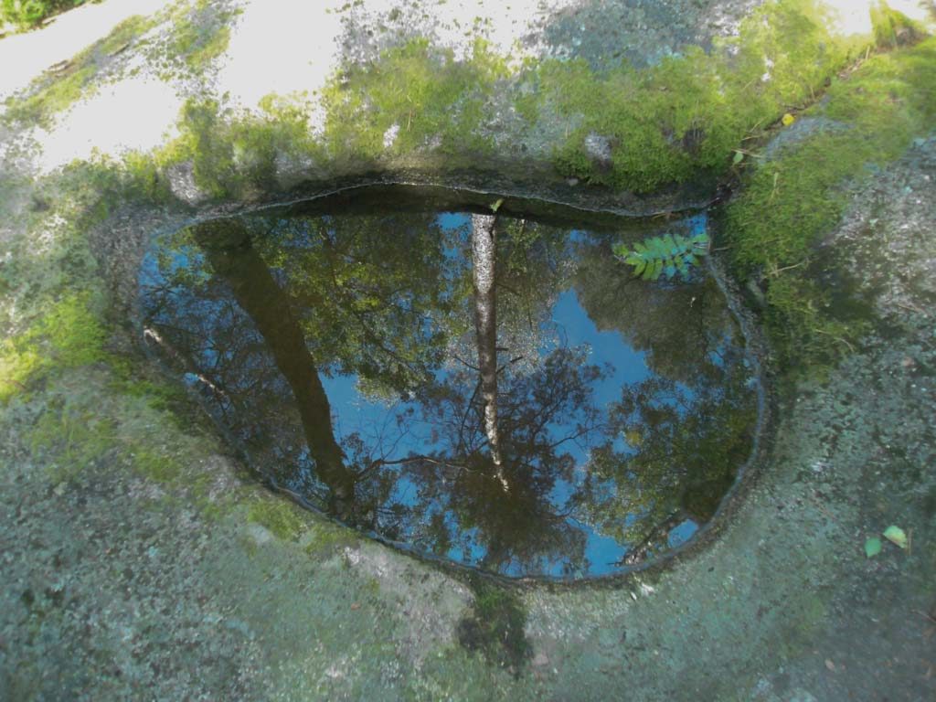 Granit im Waldviertel