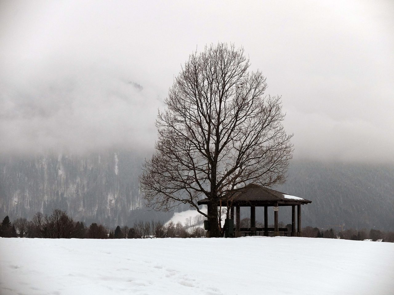 Stille Landschaft im Winter