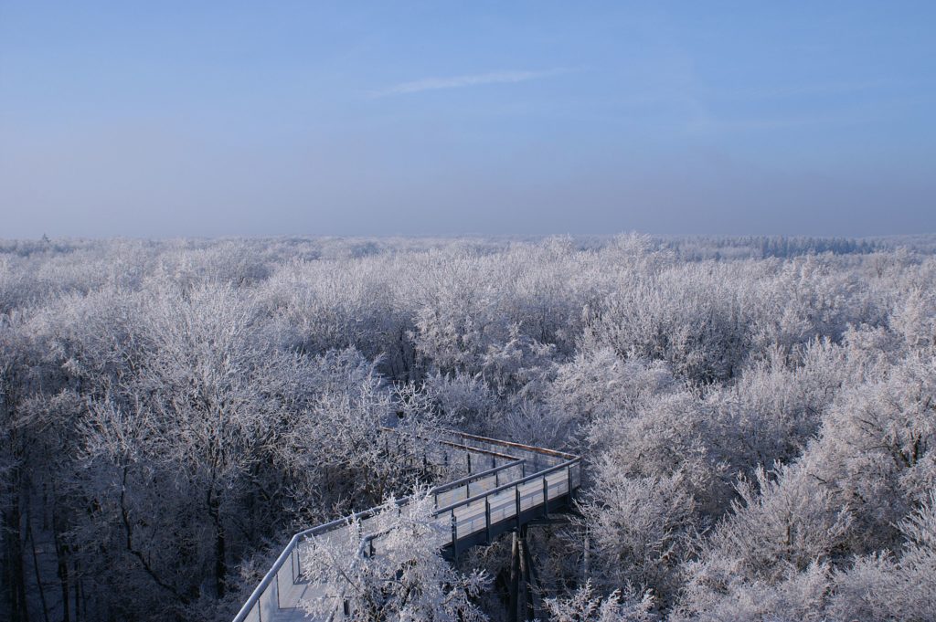Baumkronenpfad Hainich im Winter