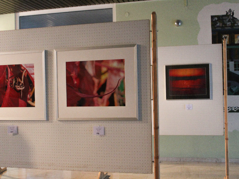 Fotoausstellung in Parsberg