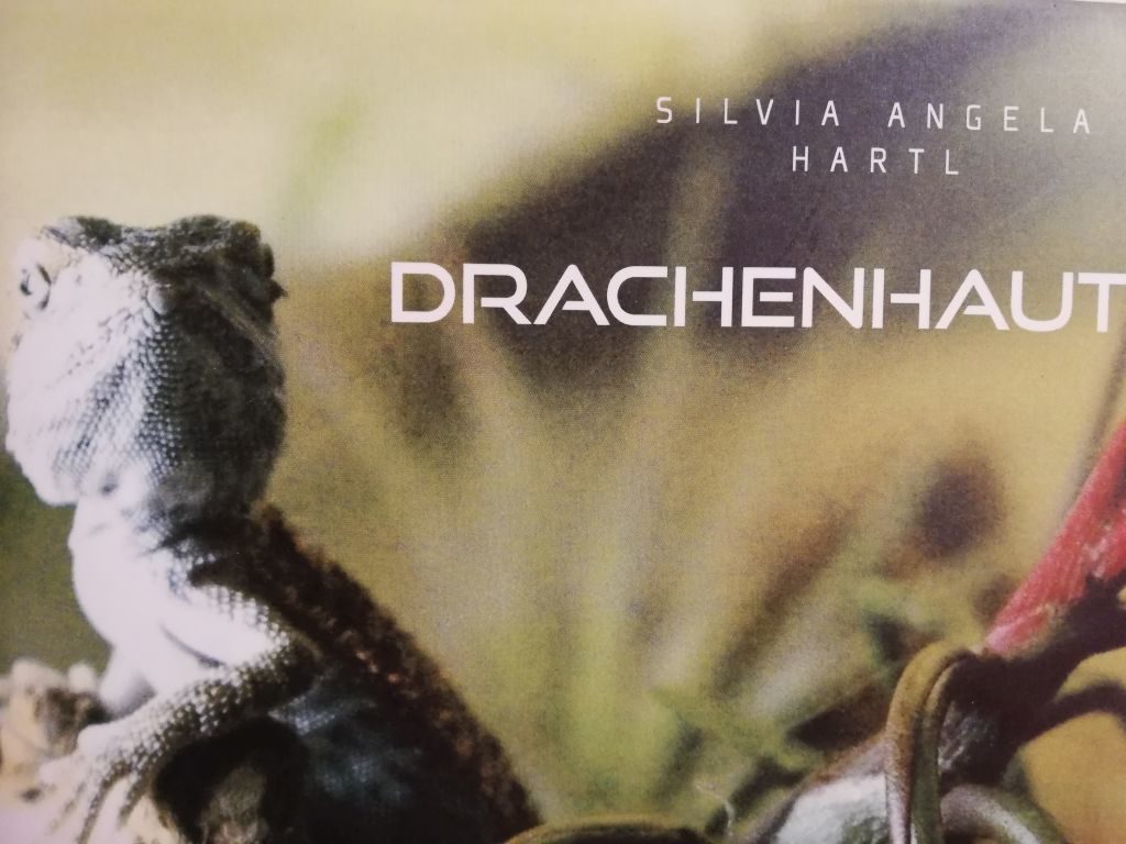 Ausschnitt aus dem Buchcover Drachenhaut