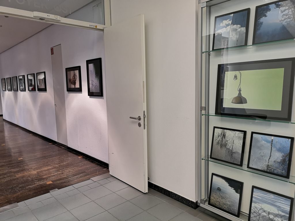 Candida Schlichting