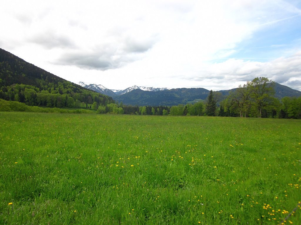 Spurwechselweg