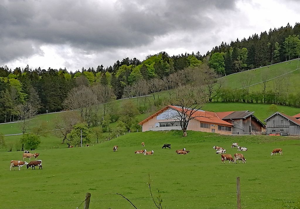 Lernen auf dem Bauernhof