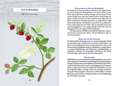 Heimisches Superfood