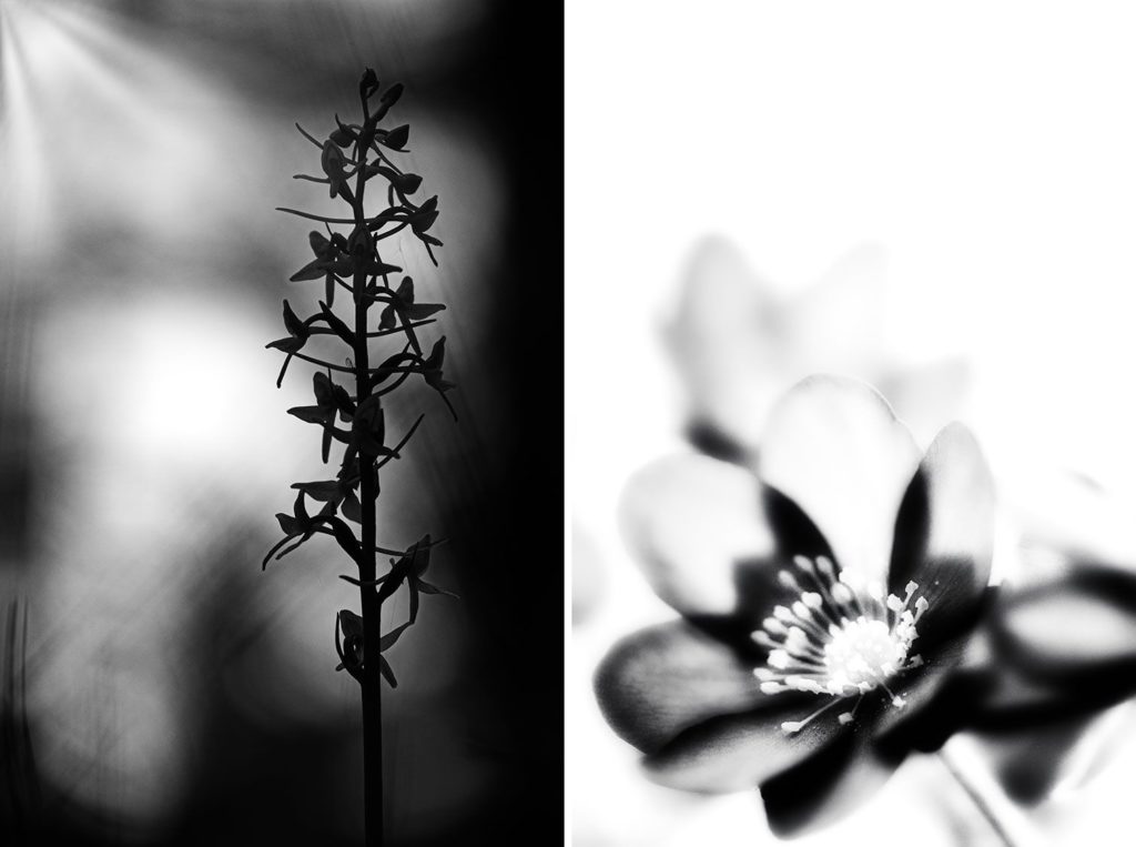 Schwarz-Weiß-Fotografie