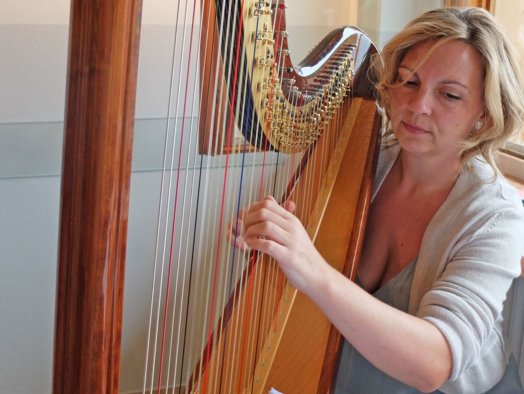 Tannerhof Hofkunst - Vernissage mit Musik: Stefanie Polifka begleitet die Vernissage mit der Harfe