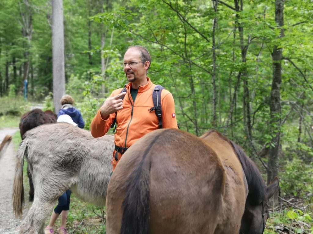 Andreas Vogt erklärt Wissenswertes über Esel. Foto: Ines Wagner