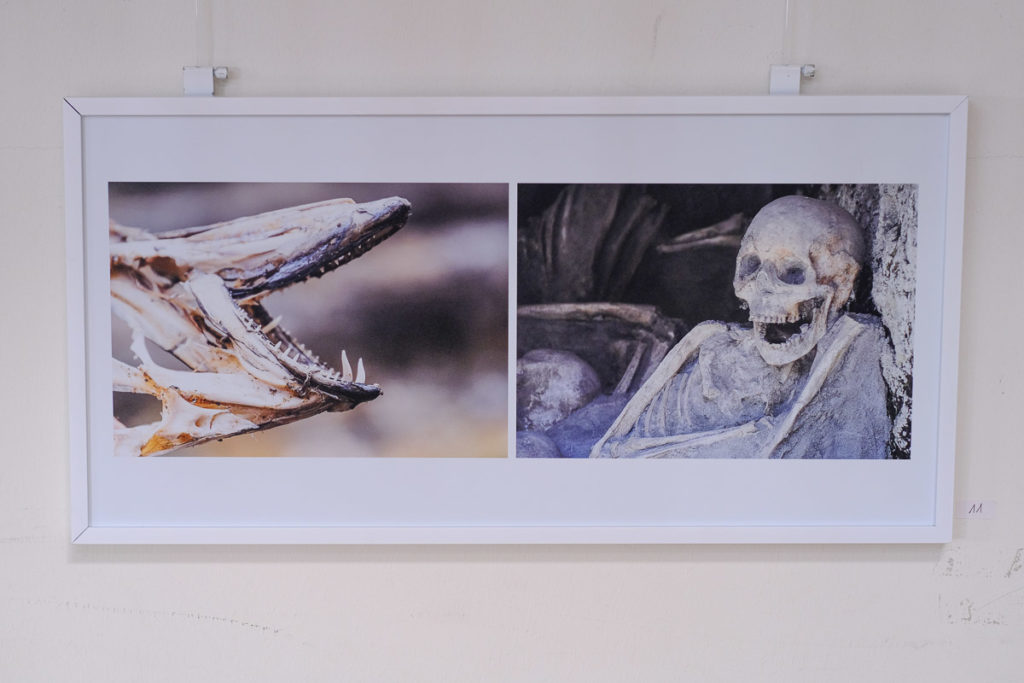 Barbara Kenedi: Triptychon Smile