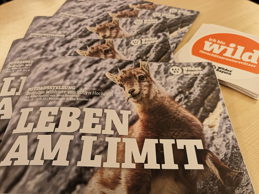 Broschüre Wildes Bayern