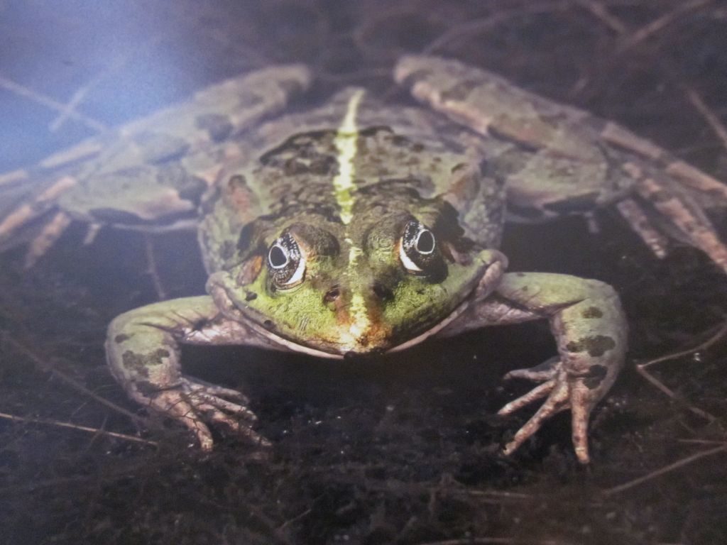 Fotofreunde Tegernseer Tal