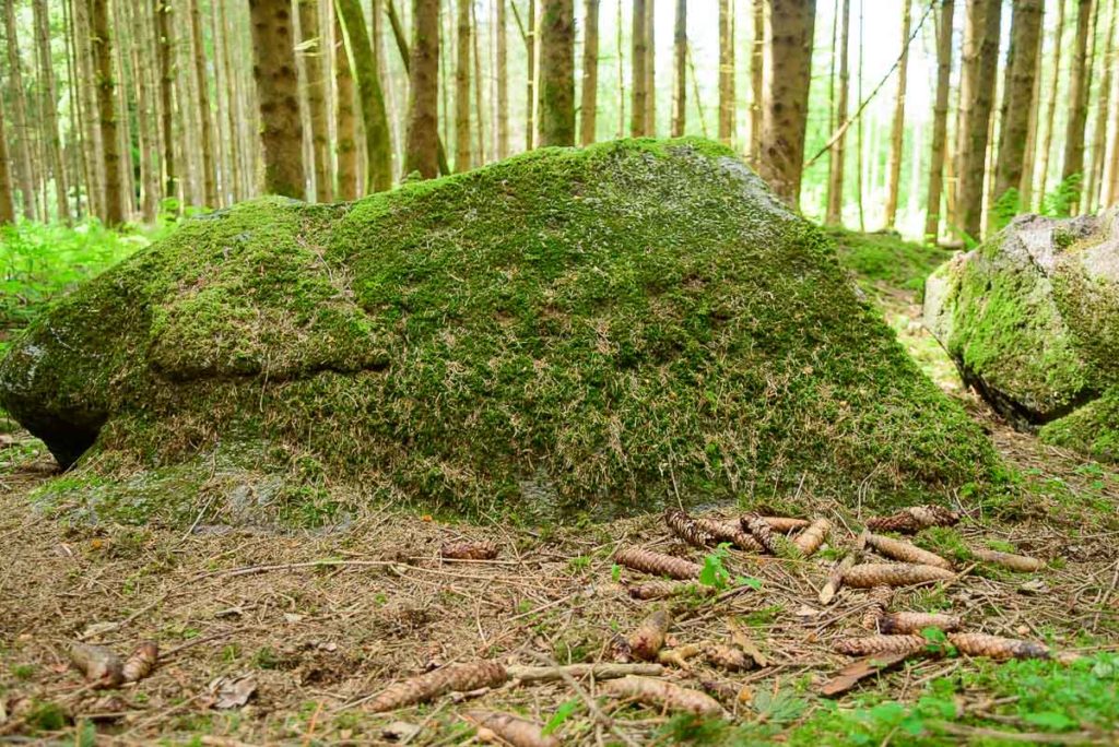 Anders wandern Stein