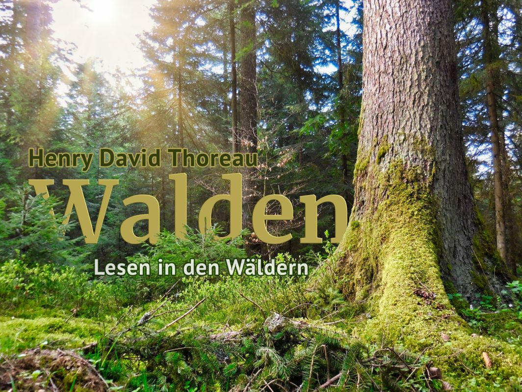 Walden