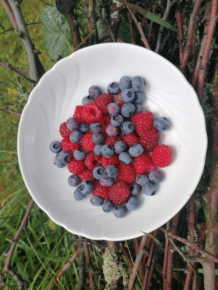 Beeren